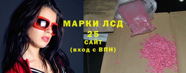 стаф Алзамай