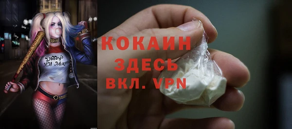 хмурый Осинники