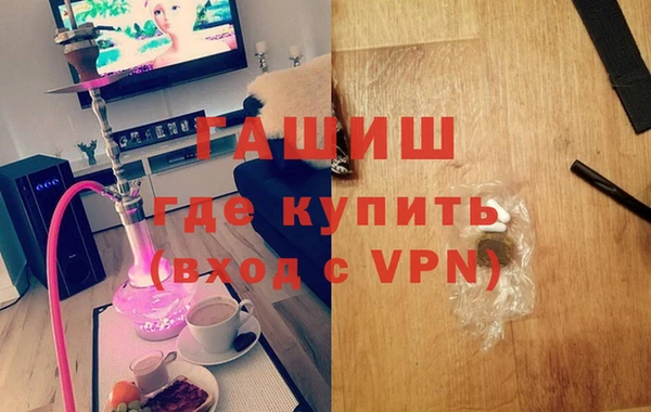 стаф Алзамай
