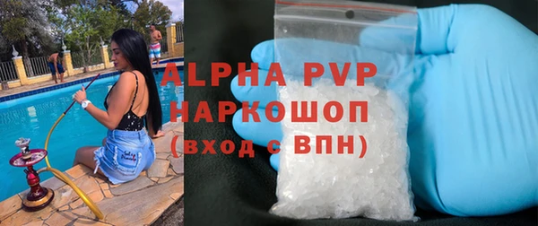 стаф Алзамай