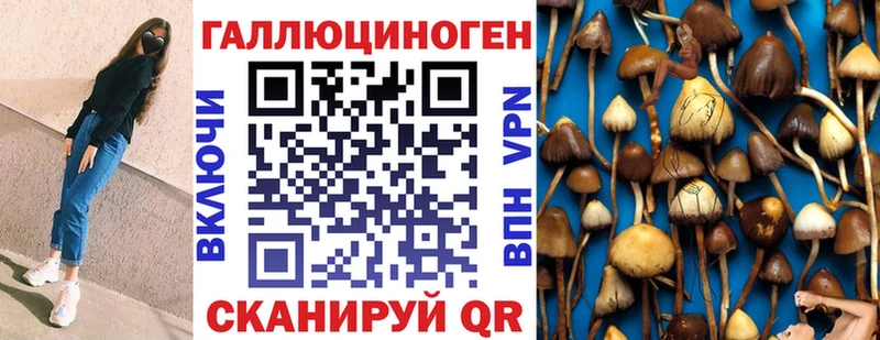магазин    Джанкой  Псилоцибиновые грибы Psilocybine cubensis 